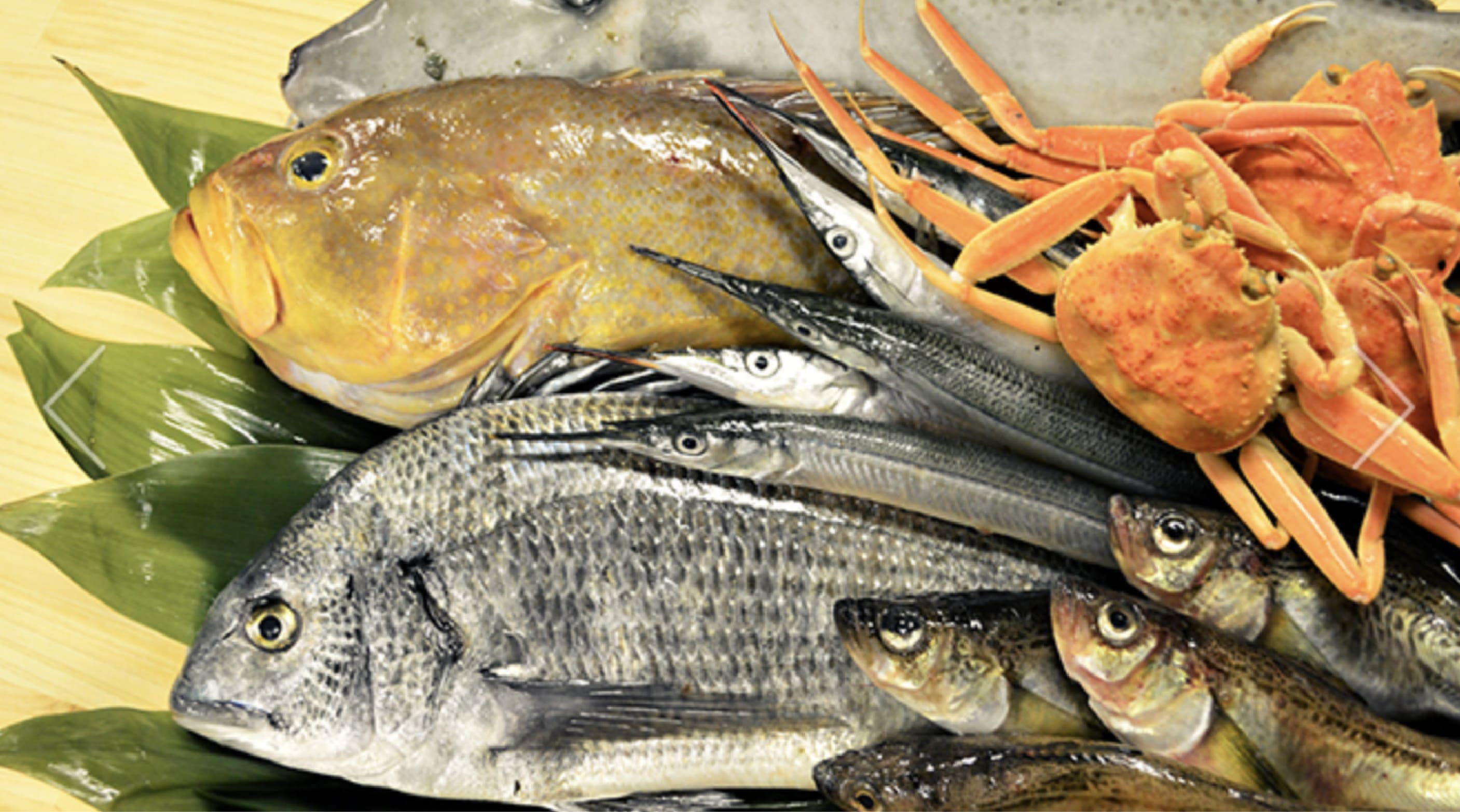 金沢・北海道・志摩の とれたて鮮魚を 美味しいお酒と一緒に 当店のこだわり